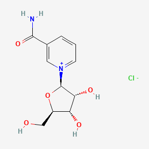 10 ledande peptidleverantörer i världen